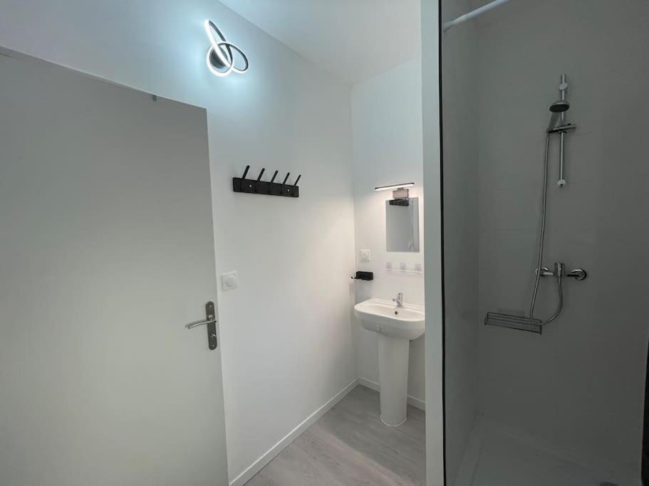 Studio A2 18M2 Cosy 5Minutes Gare Parking Gratuit Rue De La Mure ロアンヌ エクステリア 写真